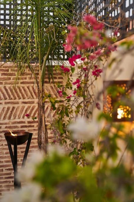 Riad Miloud En Exclusivite 10 P Au Coeur De La Medina 马拉喀什 外观 照片